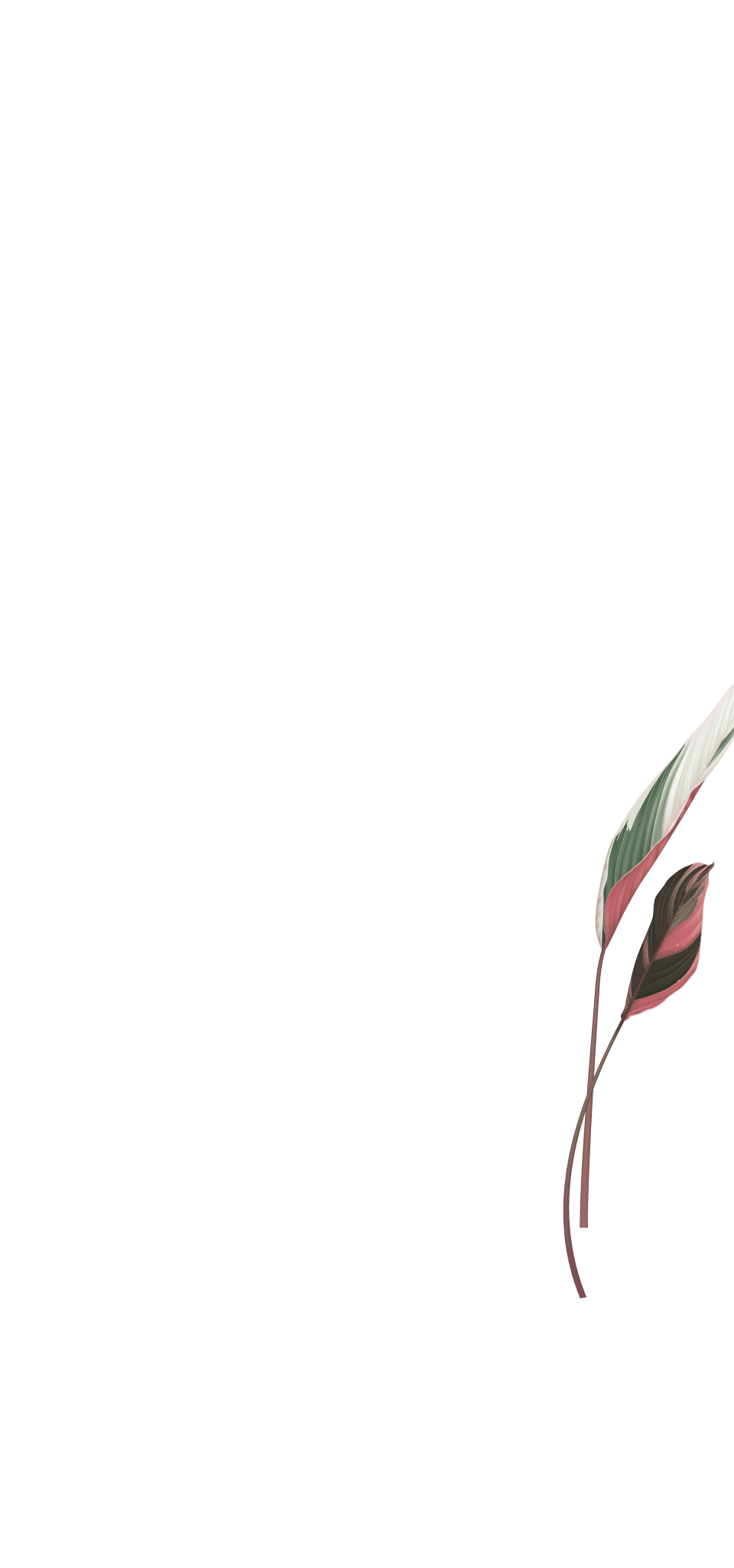 quality education｜琢立琢玥｜新世代