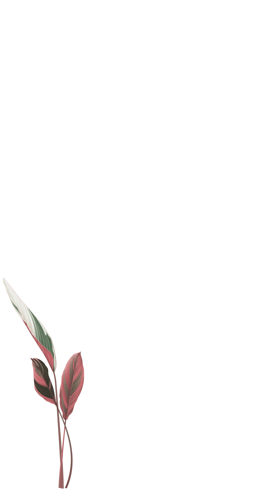 best brand｜築禾建設｜雙經典