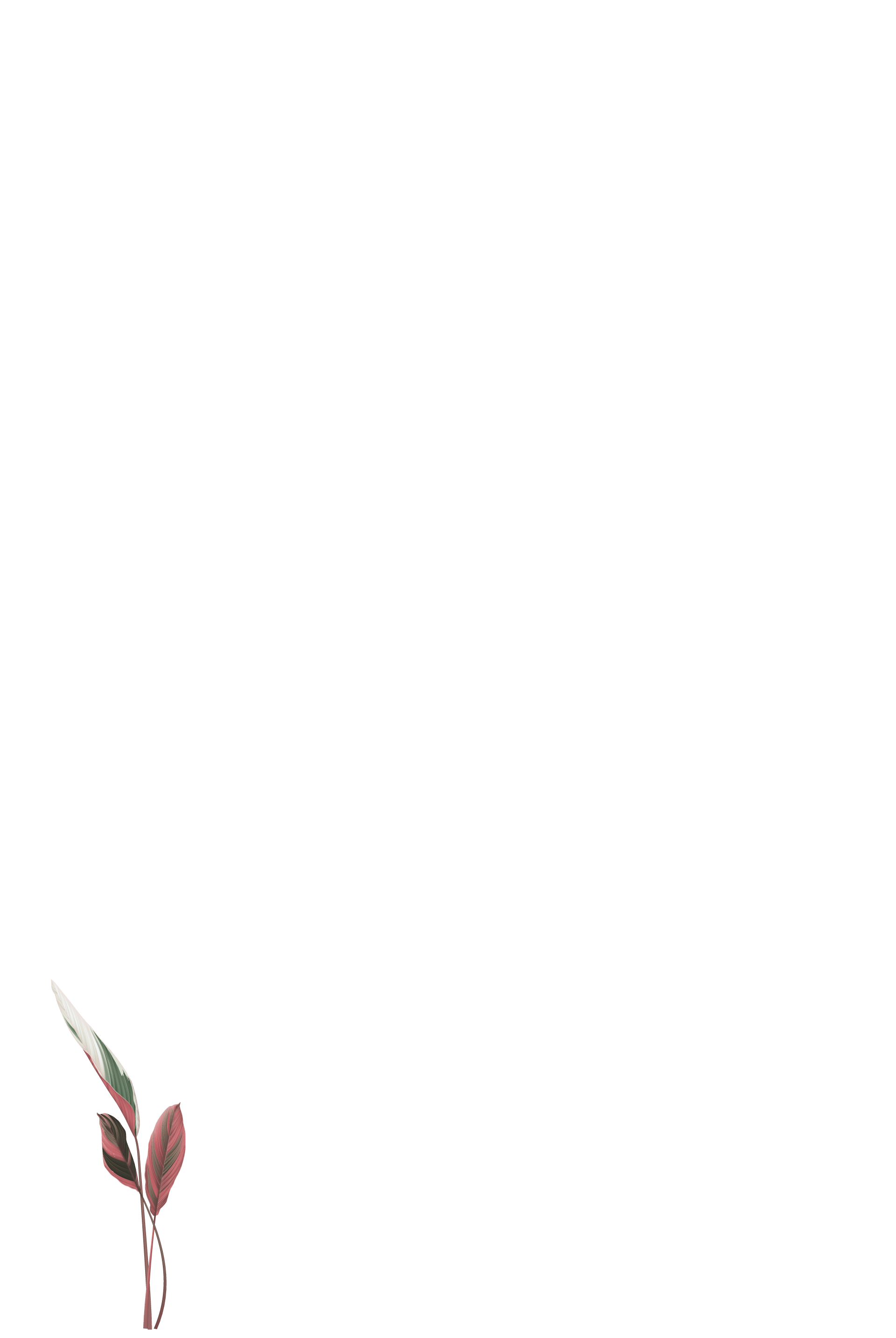 best brand｜築禾建設｜雙經典