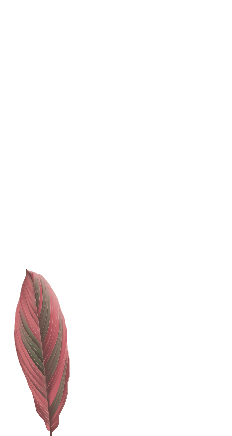 築禾建設｜琢立&琢玥