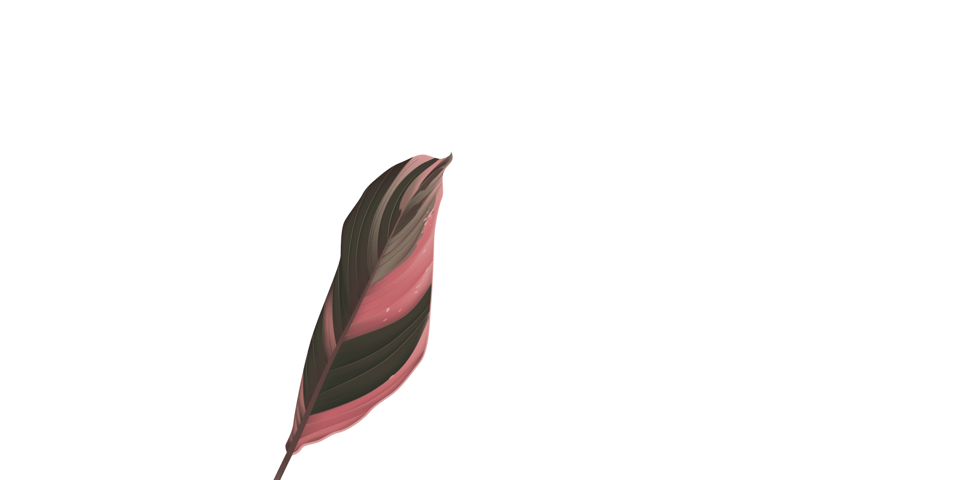 築禾建設｜琢立&琢玥